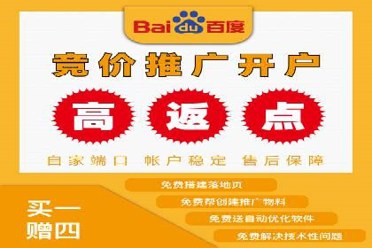 百度推广公司：如何通过精准投放提升品牌影响力