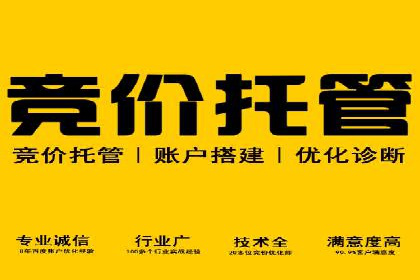 深度解析：百度竞价广告的投放效果与ROI